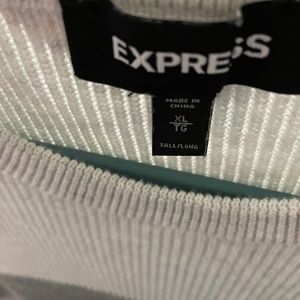 Express Men’s Sweater